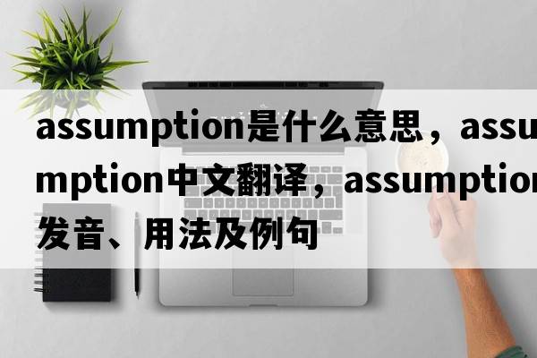assumption是什么意思，assumption中文翻譯，assumption發(fā)音、用法及例句