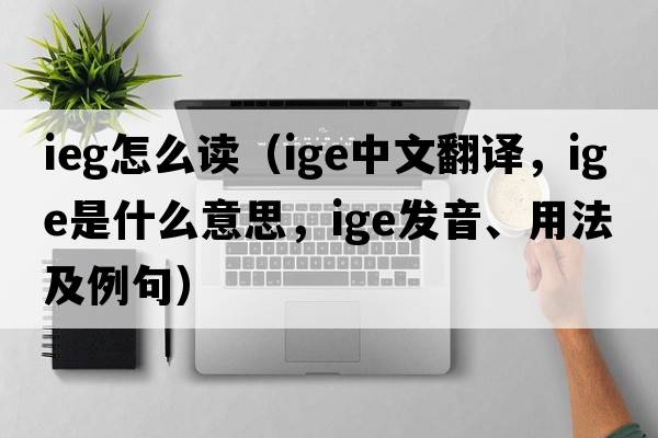 ieg怎么讀（ige中文翻譯，ige是什么意思，ige發(fā)音、用法及例句）