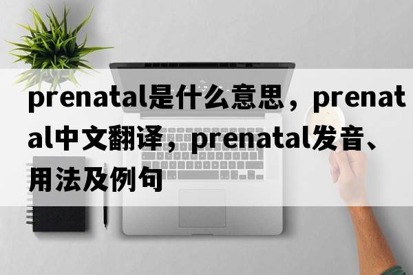 prenatal是什么意思，prenatal中文翻譯，prenatal發(fā)音、用法及例句