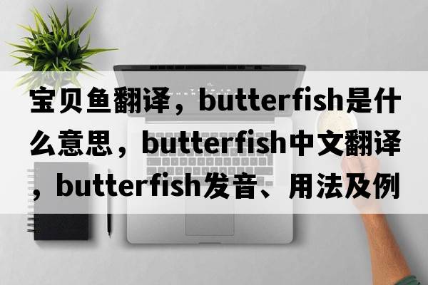 寶貝魚(yú)翻譯，butterfish是什么意思，butterfish中文翻譯，butterfish發(fā)音、用法及例句