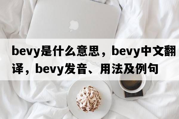 bevy是什么意思，bevy中文翻譯，bevy發(fā)音、用法及例句