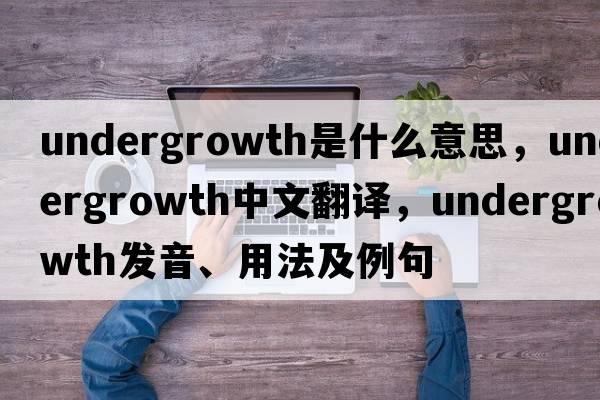 undergrowth是什么意思，undergrowth中文翻譯，undergrowth發(fā)音、用法及例句