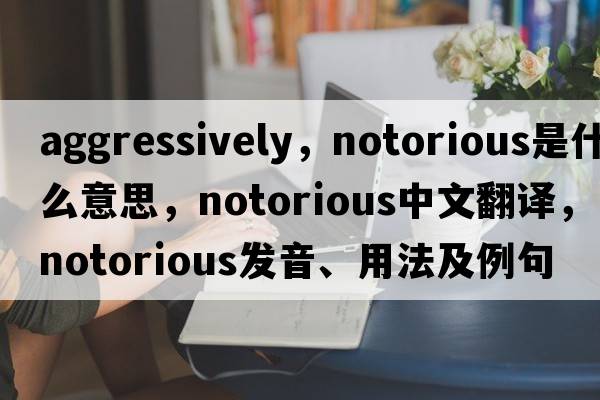 aggressively，notorious是什么意思，notorious中文翻譯，notorious發(fā)音、用法及例句