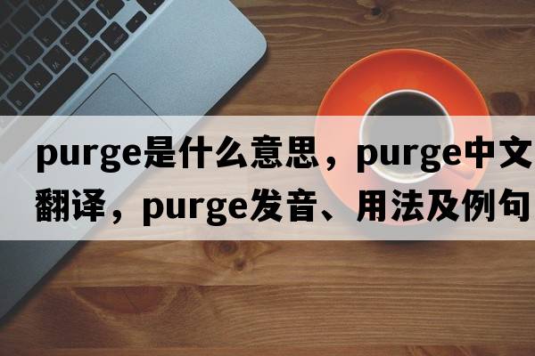 purge是什么意思，purge中文翻譯，purge發(fā)音、用法及例句