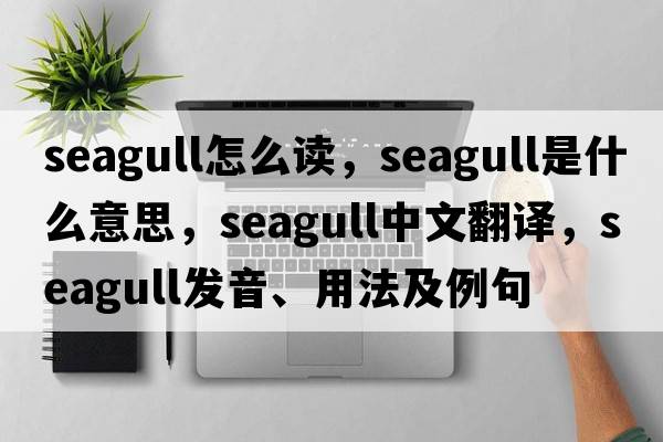 seagull怎么讀，seagull是什么意思，seagull中文翻譯，seagull發(fā)音、用法及例句
