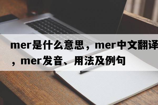 mer是什么意思，mer中文翻譯，mer發(fā)音、用法及例句