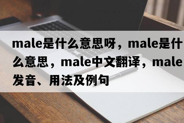 male是什么意思呀，male是什么意思，male中文翻譯，male發(fā)音、用法及例句
