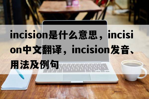 incision是什么意思，incision中文翻譯，incision發(fā)音、用法及例句