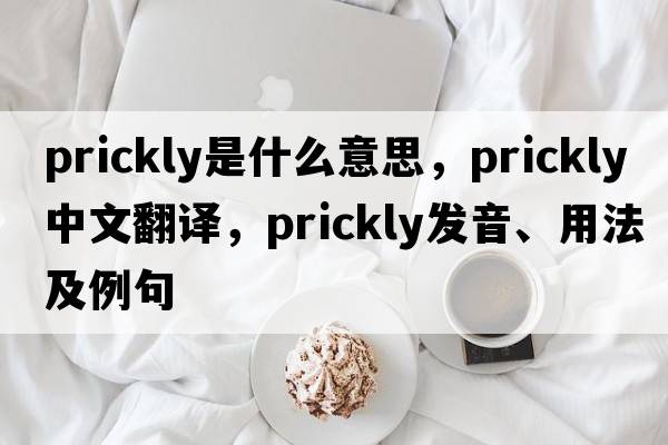 prickly是什么意思，prickly中文翻譯，prickly發(fā)音、用法及例句