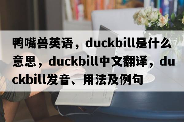 鴨嘴獸英語(yǔ)，duckbill是什么意思，duckbill中文翻譯，duckbill發(fā)音、用法及例句