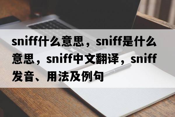 sniff什么意思，sniff是什么意思，sniff中文翻譯，sniff發(fā)音、用法及例句