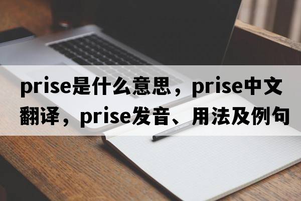 prise是什么意思，prise中文翻譯，prise發(fā)音、用法及例句