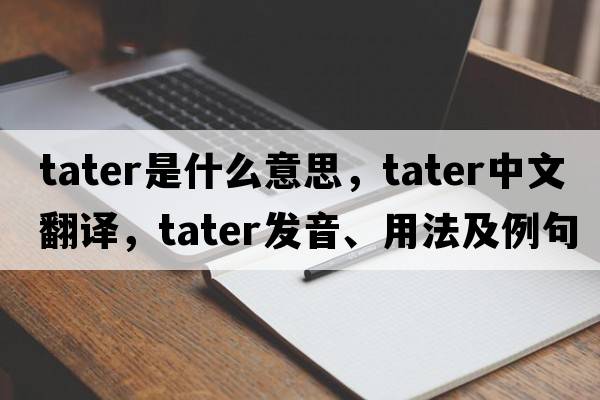 tater是什么意思，tater中文翻譯，tater發(fā)音、用法及例句