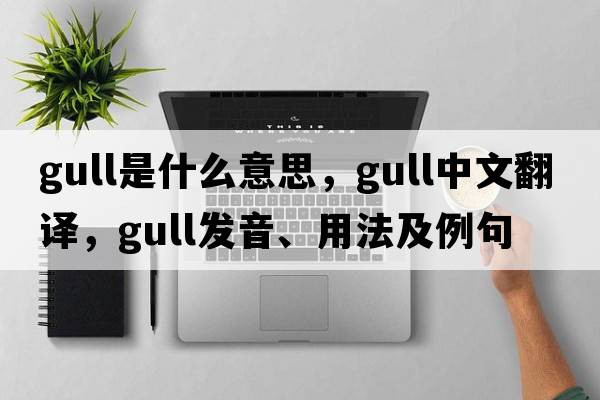 gull是什么意思，gull中文翻譯，gull發(fā)音、用法及例句