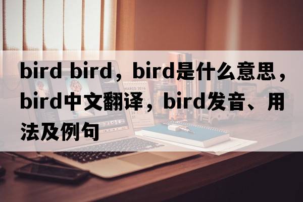 bird bird，bird是什么意思，bird中文翻譯，bird發(fā)音、用法及例句