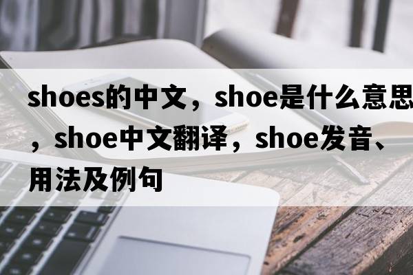 shoes的中文，shoe是什么意思，shoe中文翻譯，shoe發(fā)音、用法及例句