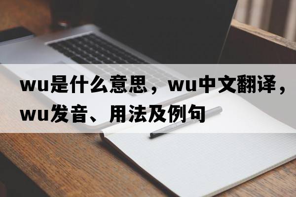 wu是什么意思，wu中文翻譯，wu發(fā)音、用法及例句