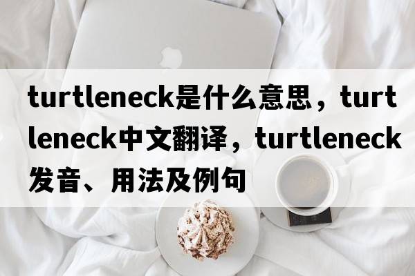 turtleneck是什么意思，turtleneck中文翻譯，turtleneck發(fā)音、用法及例句