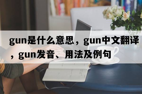 gun是什么意思，gun中文翻譯，gun發(fā)音、用法及例句
