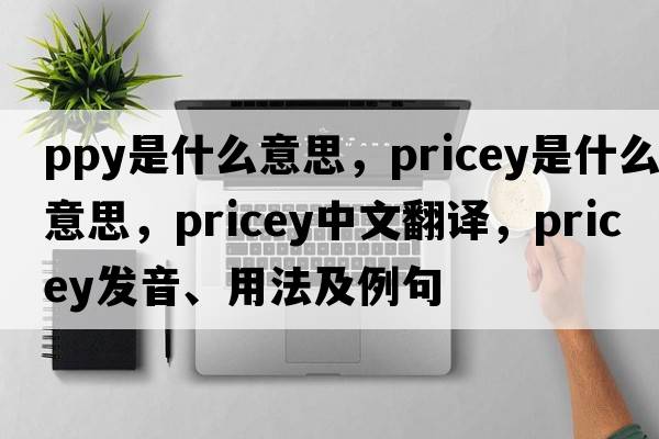 ppy是什么意思，pricey是什么意思，pricey中文翻譯，pricey發(fā)音、用法及例句