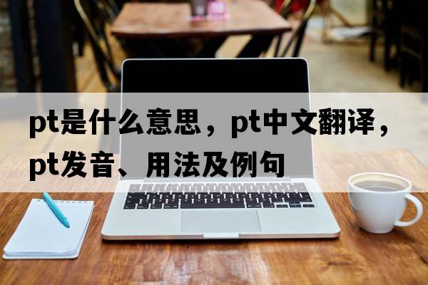 PT是什么意思，PT中文翻譯，PT發(fā)音、用法及例句