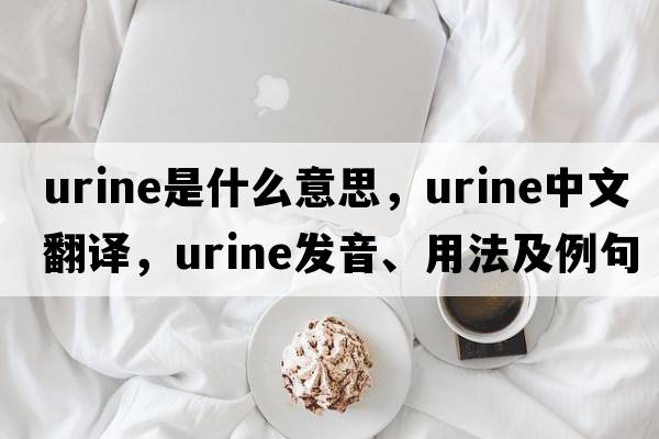urine是什么意思，urine中文翻譯，urine發(fā)音、用法及例句