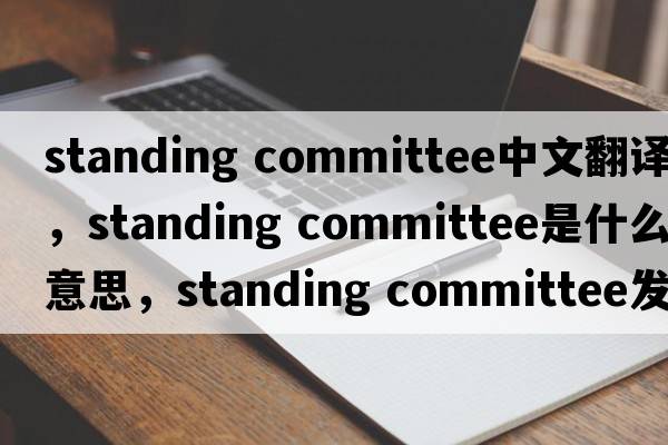 standing committee中文翻譯，standing committee是什么意思，standing committee發(fā)音、用法及例句
