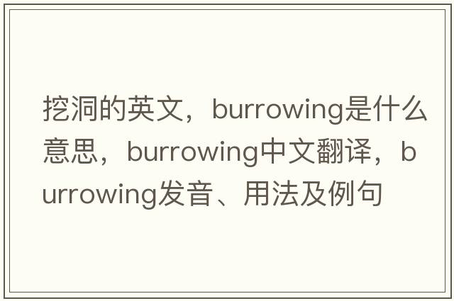 挖洞的英文，burrowing是什么意思，burrowing中文翻譯，burrowing發(fā)音、用法及例句