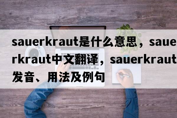 sauerkraut是什么意思，sauerkraut中文翻譯，sauerkraut發(fā)音、用法及例句