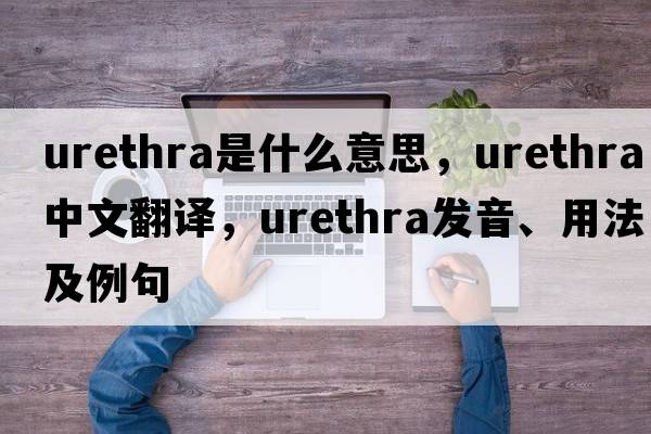 urethra是什么意思，urethra中文翻譯，urethra發(fā)音、用法及例句