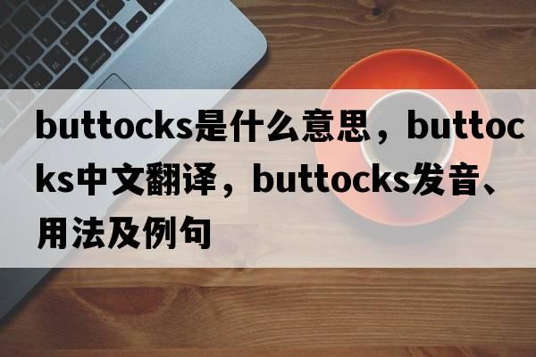 buttocks是什么意思，buttocks中文翻譯，buttocks發(fā)音、用法及例句
