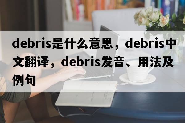 debris是什么意思，debris中文翻譯，debris發(fā)音、用法及例句