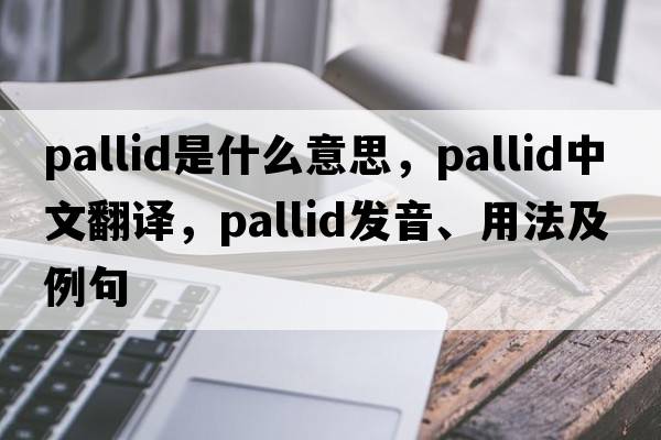 pallid是什么意思，pallid中文翻譯，pallid發(fā)音、用法及例句