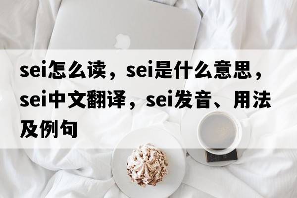 sei怎么讀，sei是什么意思，sei中文翻譯，sei發(fā)音、用法及例句