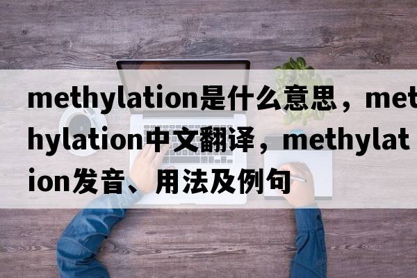 methylation是什么意思，methylation中文翻譯，methylation發(fā)音、用法及例句
