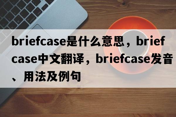 briefcase是什么意思，briefcase中文翻譯，briefcase發(fā)音、用法及例句