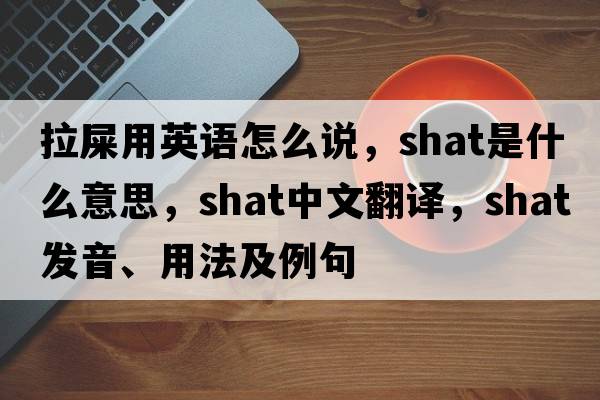 拉屎用英語(yǔ)怎么說(shuō)，shat是什么意思，shat中文翻譯，shat發(fā)音、用法及例句