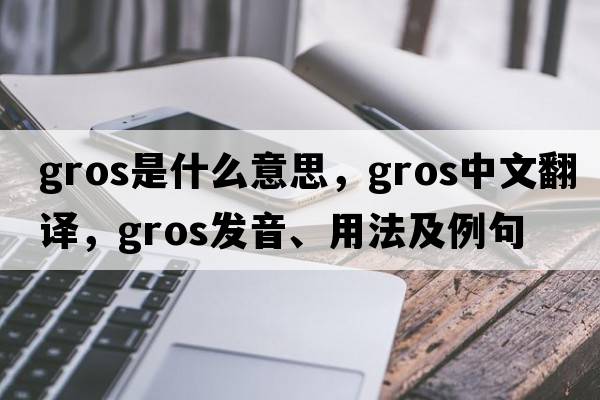 gros是什么意思，gros中文翻譯，gros發(fā)音、用法及例句