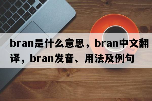 bran是什么意思，bran中文翻譯，bran發(fā)音、用法及例句