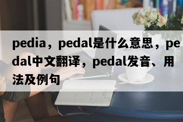 pedia，pedal是什么意思，pedal中文翻譯，pedal發(fā)音、用法及例句