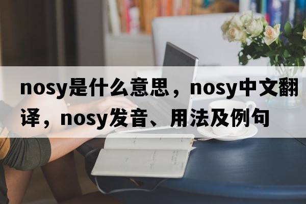 nosy是什么意思，nosy中文翻譯，nosy發(fā)音、用法及例句
