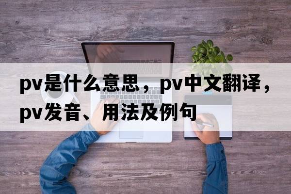 pv是什么意思，pv中文翻譯，pv發(fā)音、用法及例句