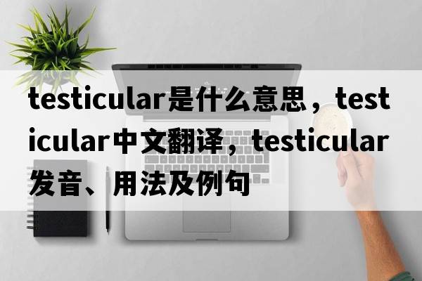 testicular是什么意思，testicular中文翻譯，testicular發(fā)音、用法及例句