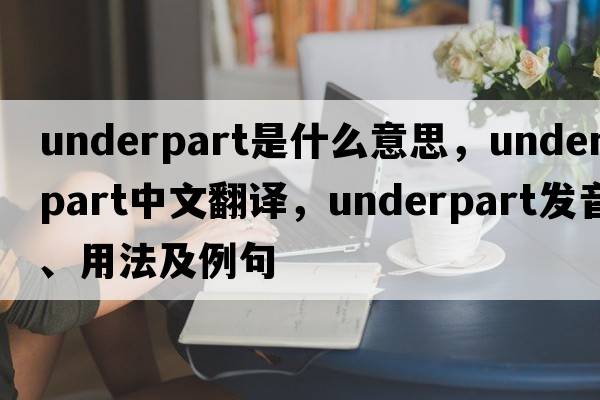 underpart是什么意思，underpart中文翻譯，underpart發(fā)音、用法及例句