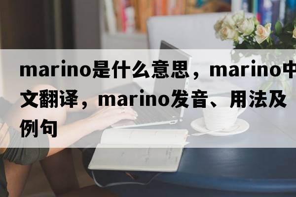 Marino是什么意思，Marino中文翻譯，Marino發(fā)音、用法及例句