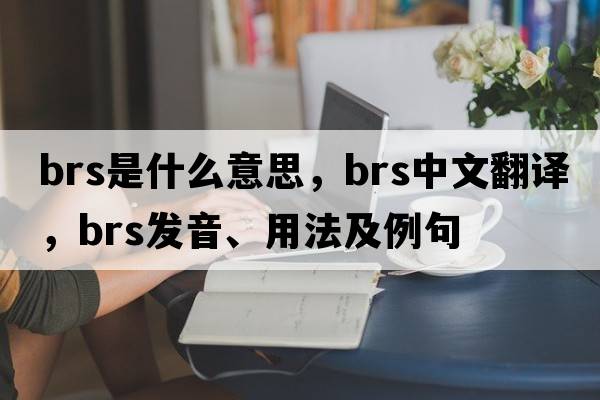 BRS是什么意思，BRS中文翻譯，BRS發(fā)音、用法及例句