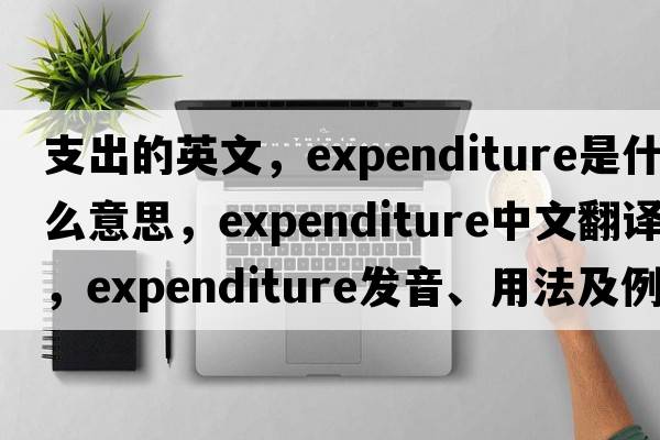 支出的英文，expenditure是什么意思，expenditure中文翻譯，expenditure發(fā)音、用法及例句