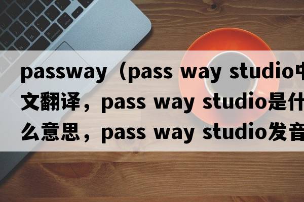 passway（pass way studio中文翻譯，pass way studio是什么意思，pass way studio發(fā)音、用法及例句）