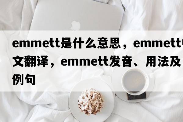 Emmett是什么意思，Emmett中文翻譯，Emmett發(fā)音、用法及例句