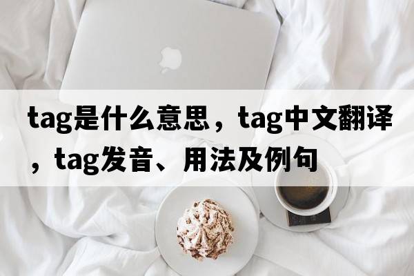 tag是什么意思，tag中文翻譯，tag發(fā)音、用法及例句